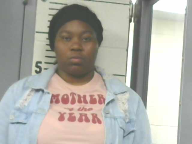 ‘Mother of the Year’ arrested after punching umpire at children’s softball game