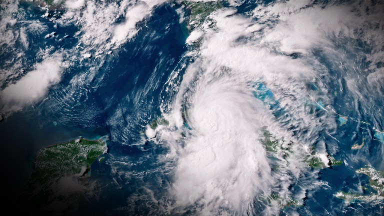 Elsa’s aftermath: Damage across the South