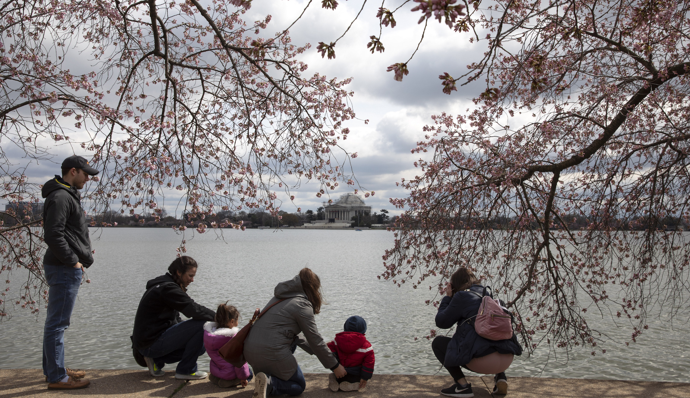 Tidal Basin to feature ‘COVID-19 Safety’ signs for cherry blossom season