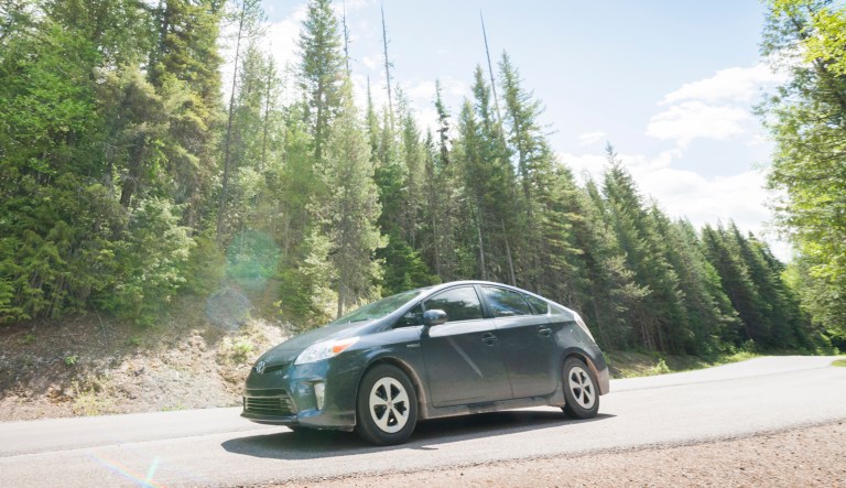 A Toyota Prius hybrid car drives through a tree-lined road in Montana while on a road trip.