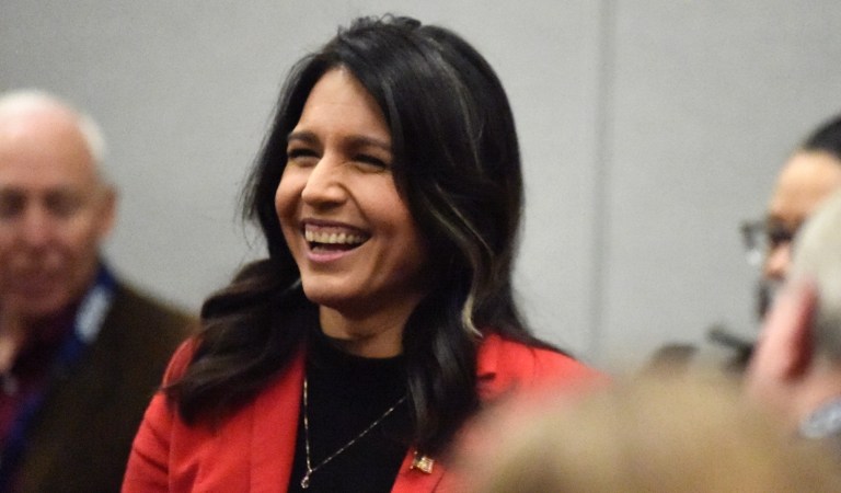 Enraged liberals revive ‘Russian asset’ smears against Tulsi Gabbard