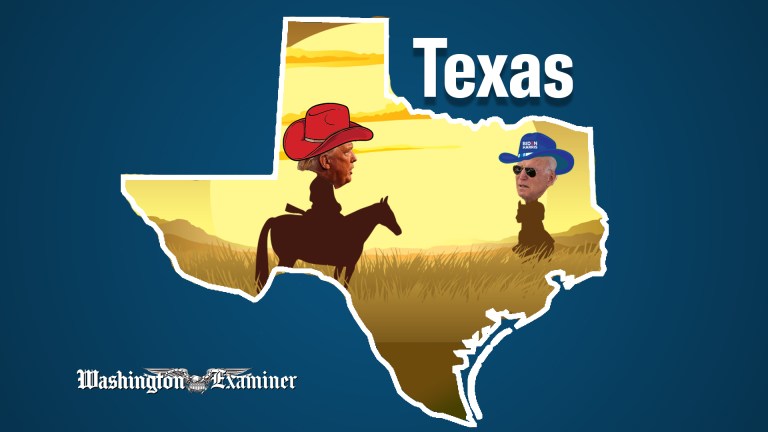 2020 Countdown: Texas