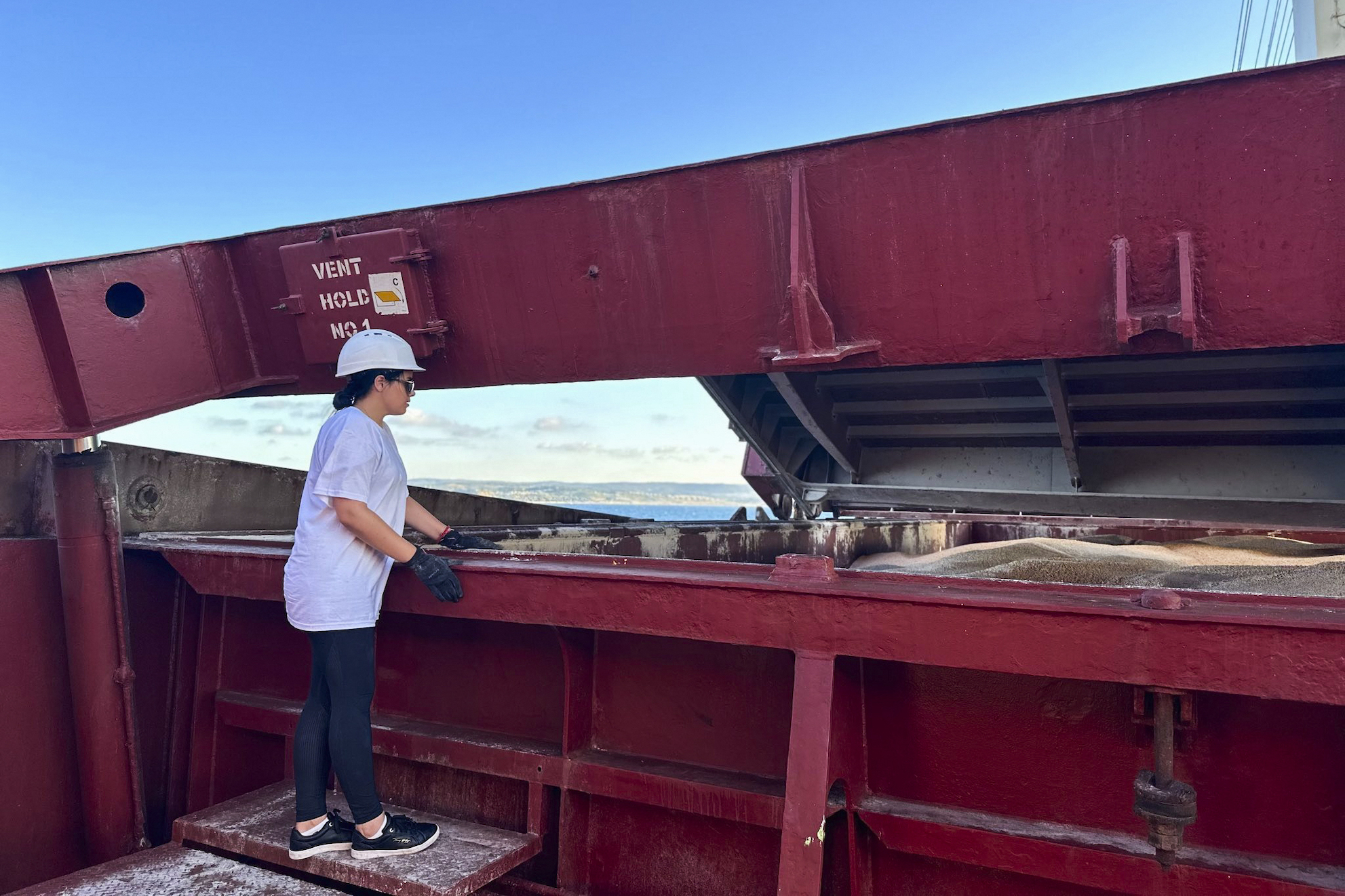 Ukraine wants to dare Putin to sink grain ships