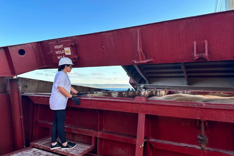 Ukraine wants to dare Putin to sink grain ships