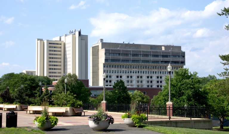 Accounting professor punished for showing Hitler parody video to students