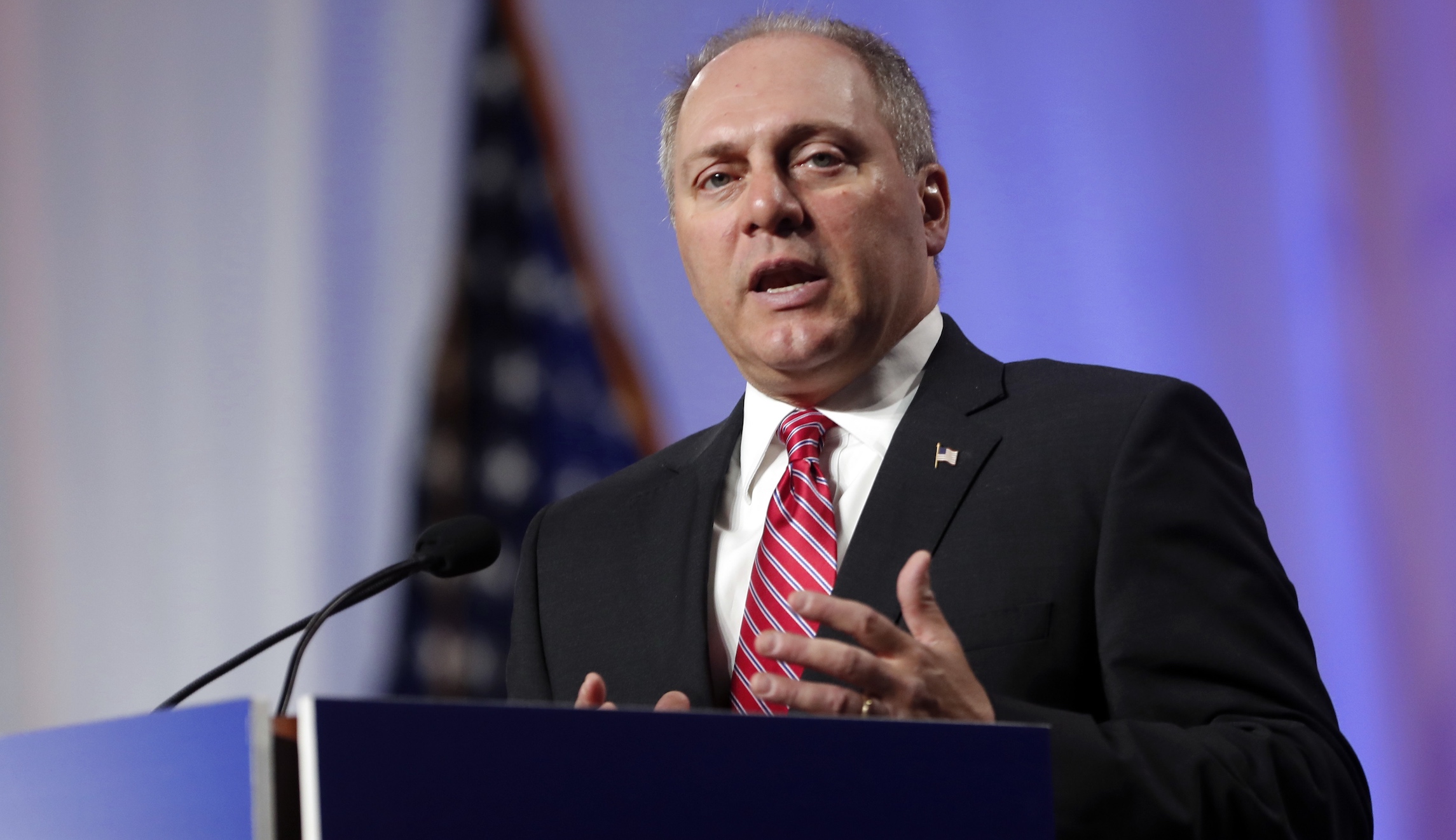 Steve Scalise: ‘I wish both sides’ would condemn violence