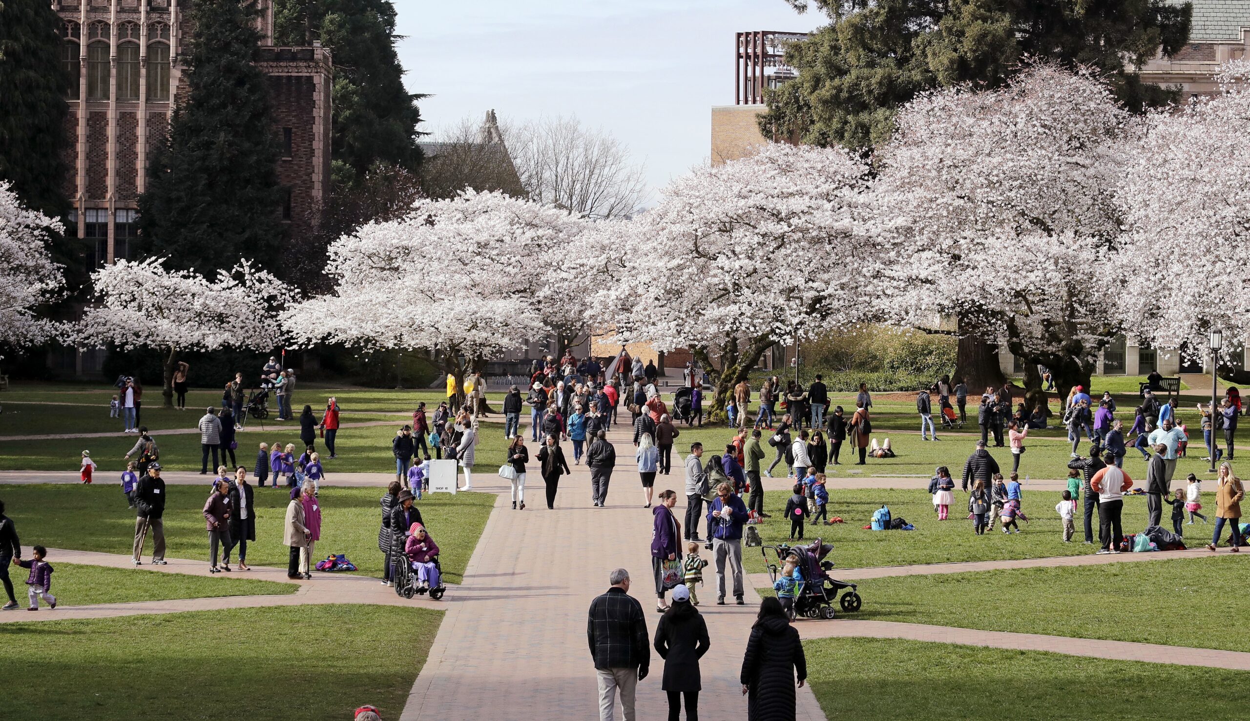 University of Washington to pay $122,500 in free speech lawsuit settlement