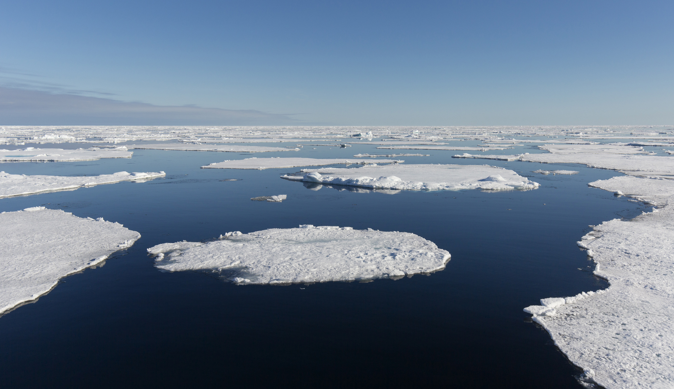 Opportunities in the melting Arctic