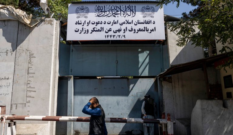 Taliban appoint more men to Cabinet despite international pressure to include women