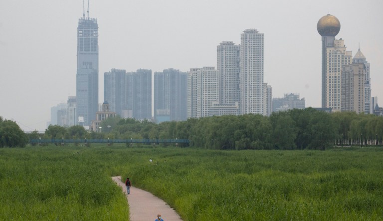 In this photo taken Thursday, April 16, 2020, a resident wearing a mask against the coronavirus walks through reed fields and the cityscape along the Yangtze River in Wuhan in central China's Hubei province. Wuhan has been eclipsed by Shanghai, Hong Kong and other coastal cities since the ruling Communist Party set off a trade boom by launching market-style economic reforms in 1979. But for centuries before that, the city was one of the most important centers of an inland network of river trade that dominated Chinaâs economy and politics.