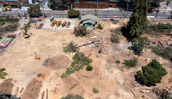 Building in Bezerkeley