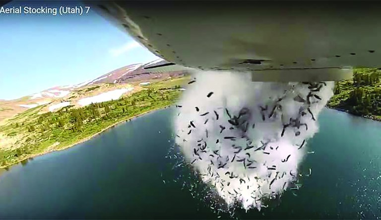 A plane drops fish in a recreational lake in a high elevation area in Utah.