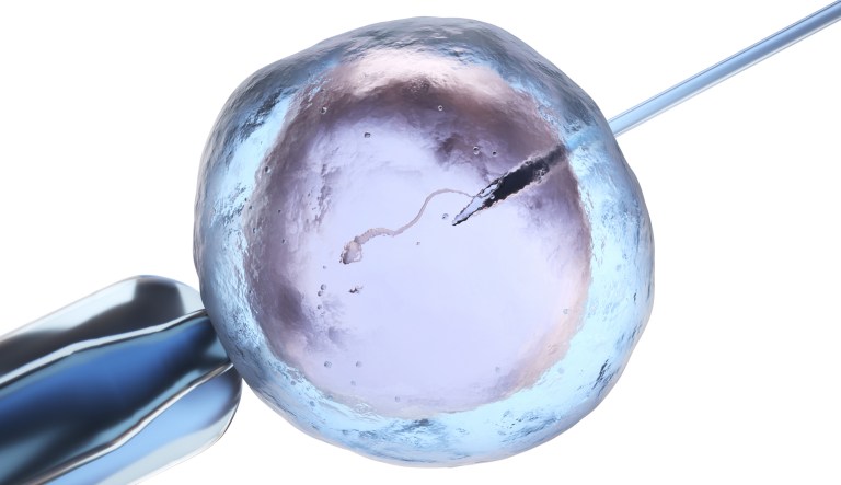 Couple gives birth to children that were not theirs due to IVF ‘unimaginable mishap’