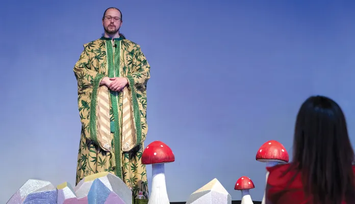 A magic mushroom odyssey