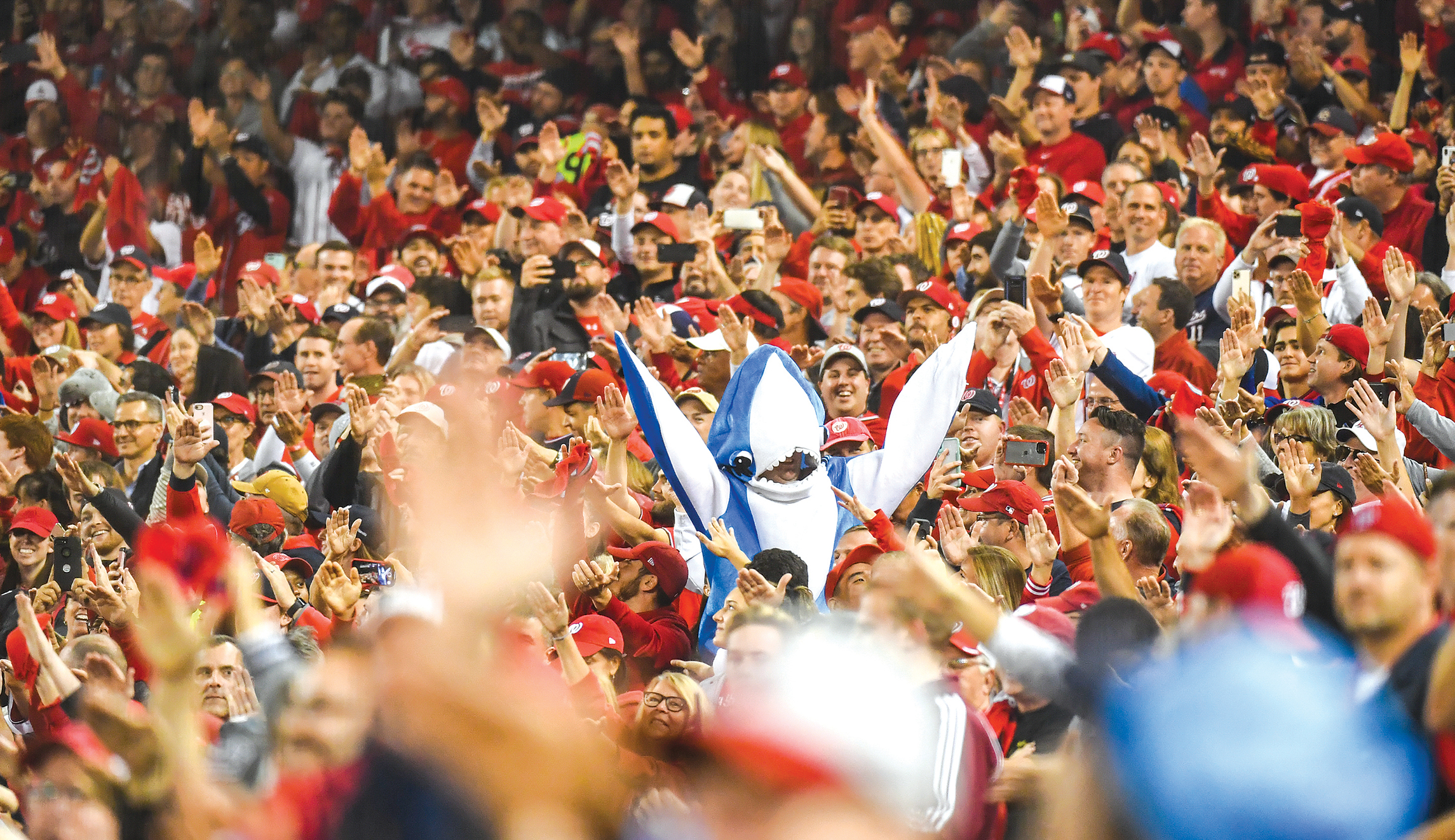 Baby shark, doo-doo, doo-doo-doo-doo