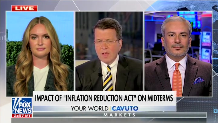 Tiana Lowe on Fox News. 