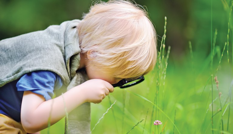 I bequeath myself to the dirt