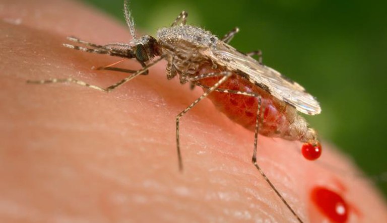 An exhaustive Veterans Affairs-supported study by the National Academies of Sciences, Engineering, and Medicine released this morning found that the link between the PTSD symptoms and troops' taking required antimalarial medication cannot be ruled out and needs further study.