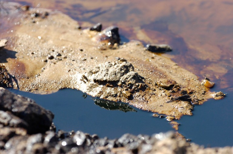 Oil mars Alabama swamp months after crude train crash
