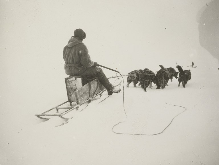 Prufrock: The Mindlessness of Critical Theory, Bioprospecting Norwegians, and Freeman Dyson’s Life in Letters