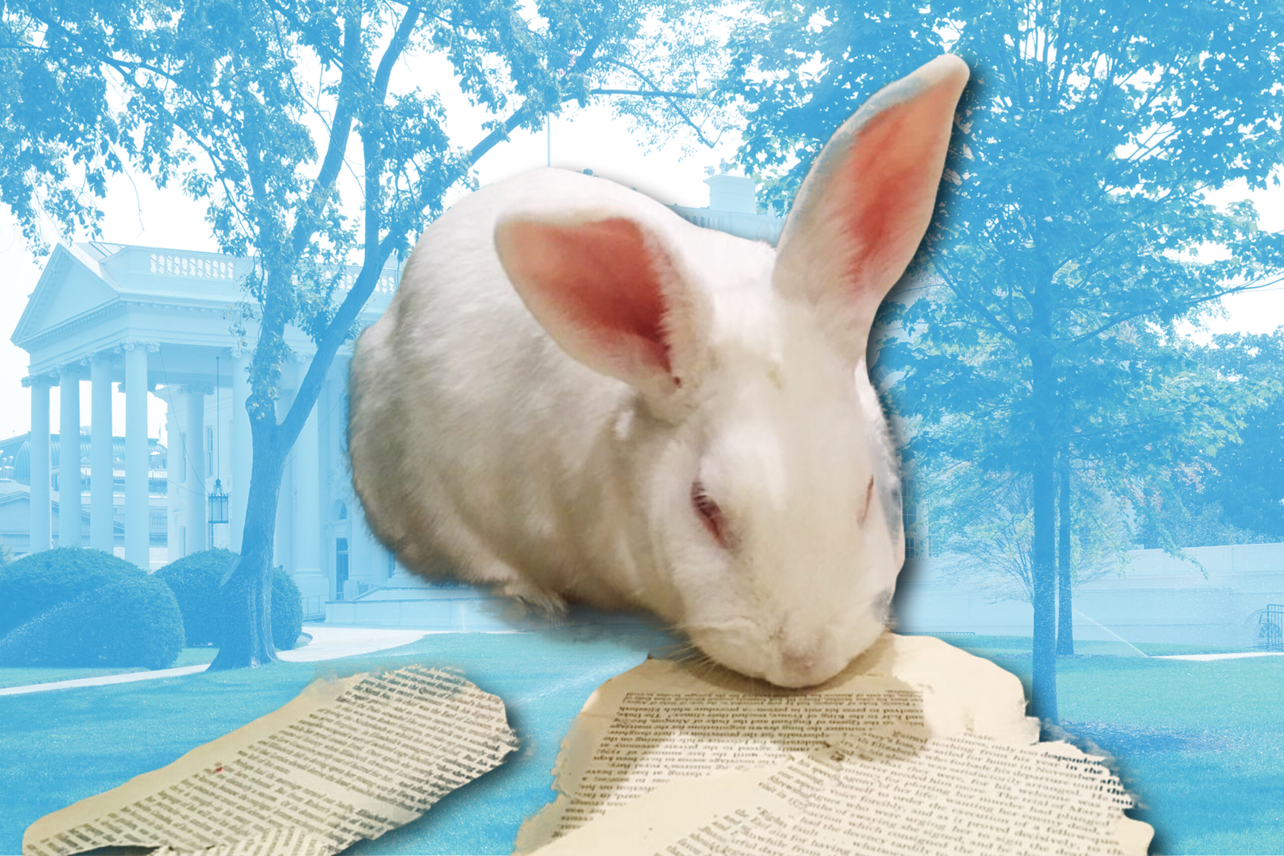 Ten Bunny Tales Better Than Either Marlon Bundo Offering