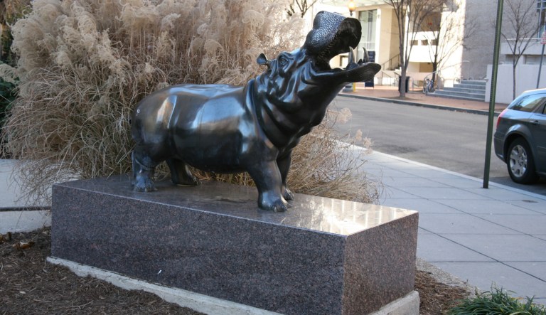 What color was George Washington’s hippopotamus? The silly conflict over GWU’s mascot