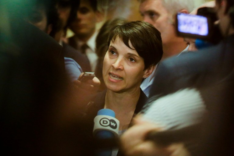 Right-wing German leader proposes right to bear arms