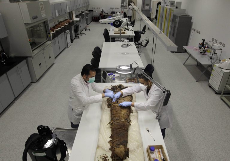 Construction under way on hall of Egypt museum