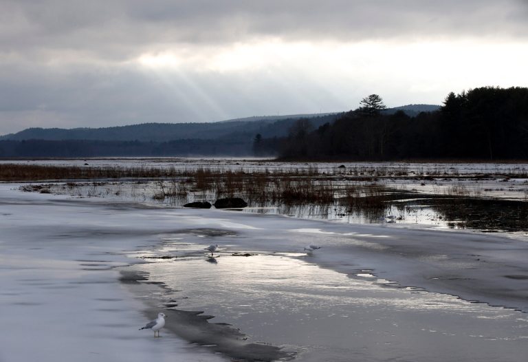 House Republicans lay into EPA ‘land grab’