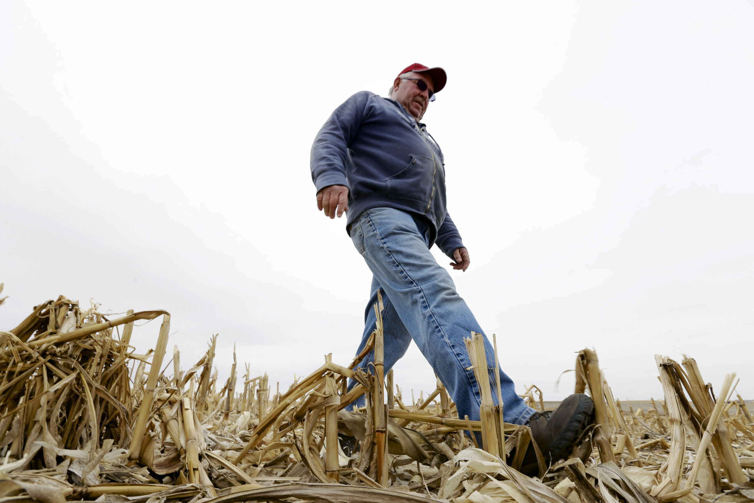 Despite opposition, many landowners await Keystone XL pipeline
