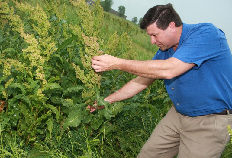 South Dakota probing resignation of Corn Palace director