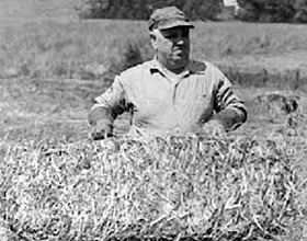 Witness Protection Program