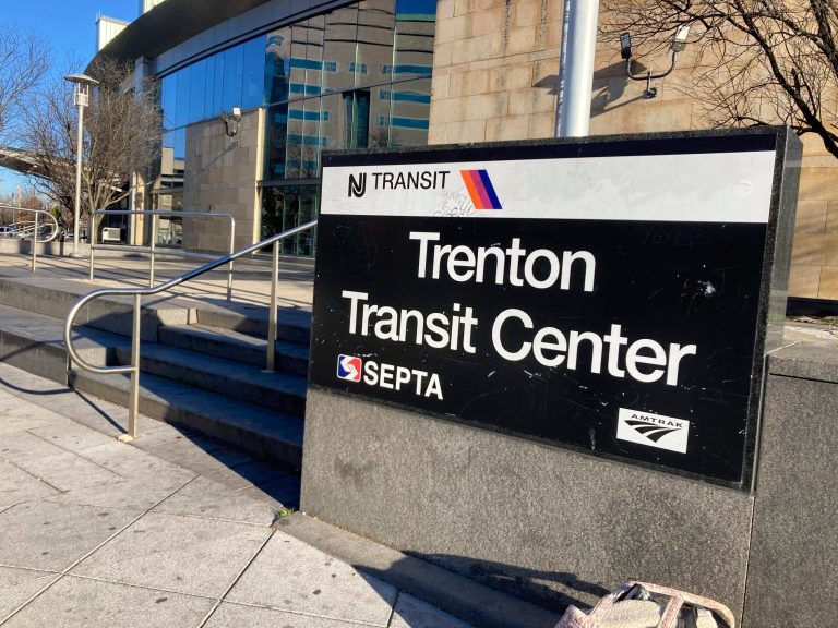 Outlook for public mass transit remains dim