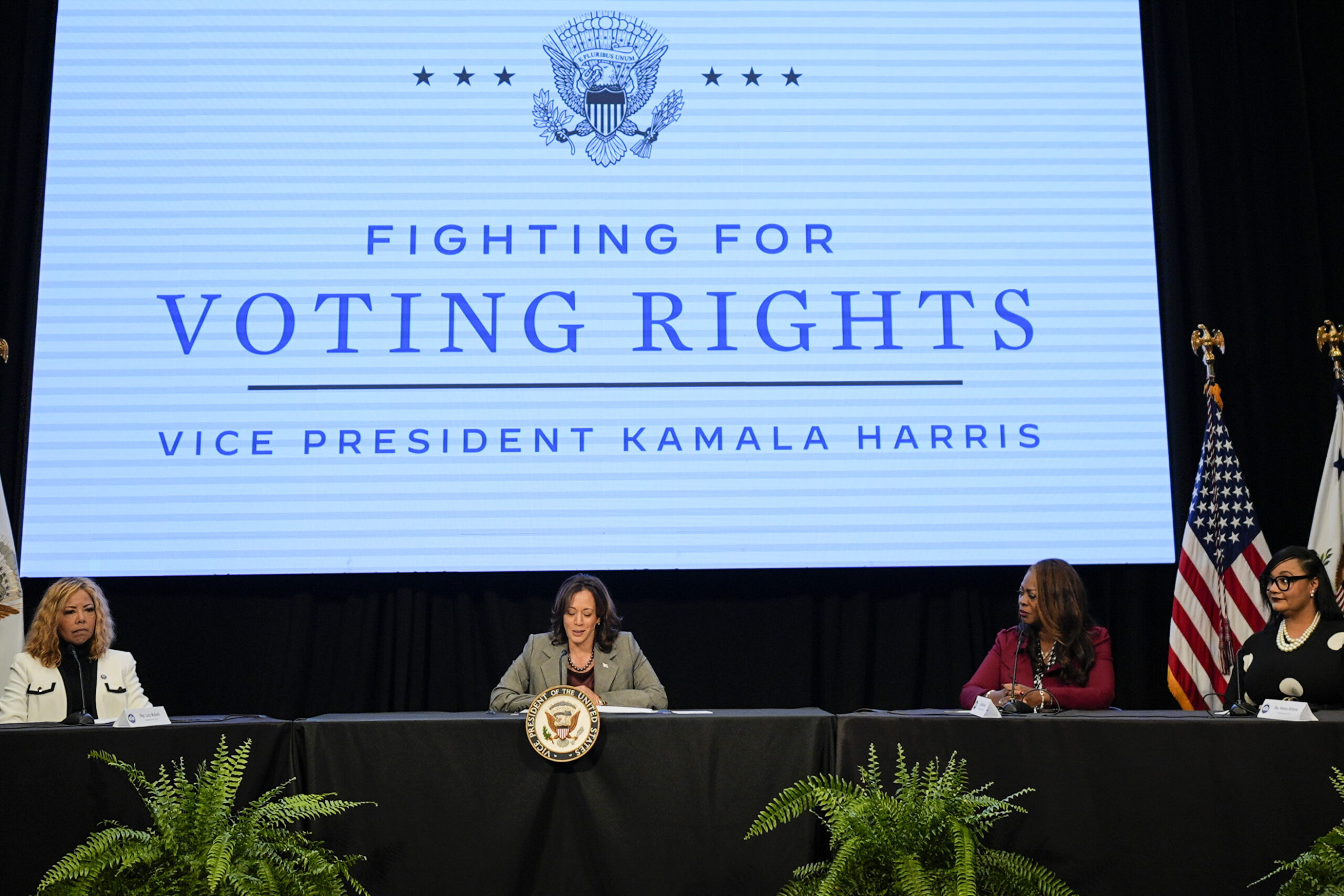 Georgia election process under attack from all sides as presidential contest draws near