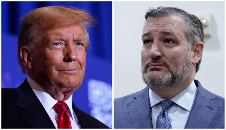 Cruz calls for major overhaul of Secret Service and DHS after Trump rally shooting