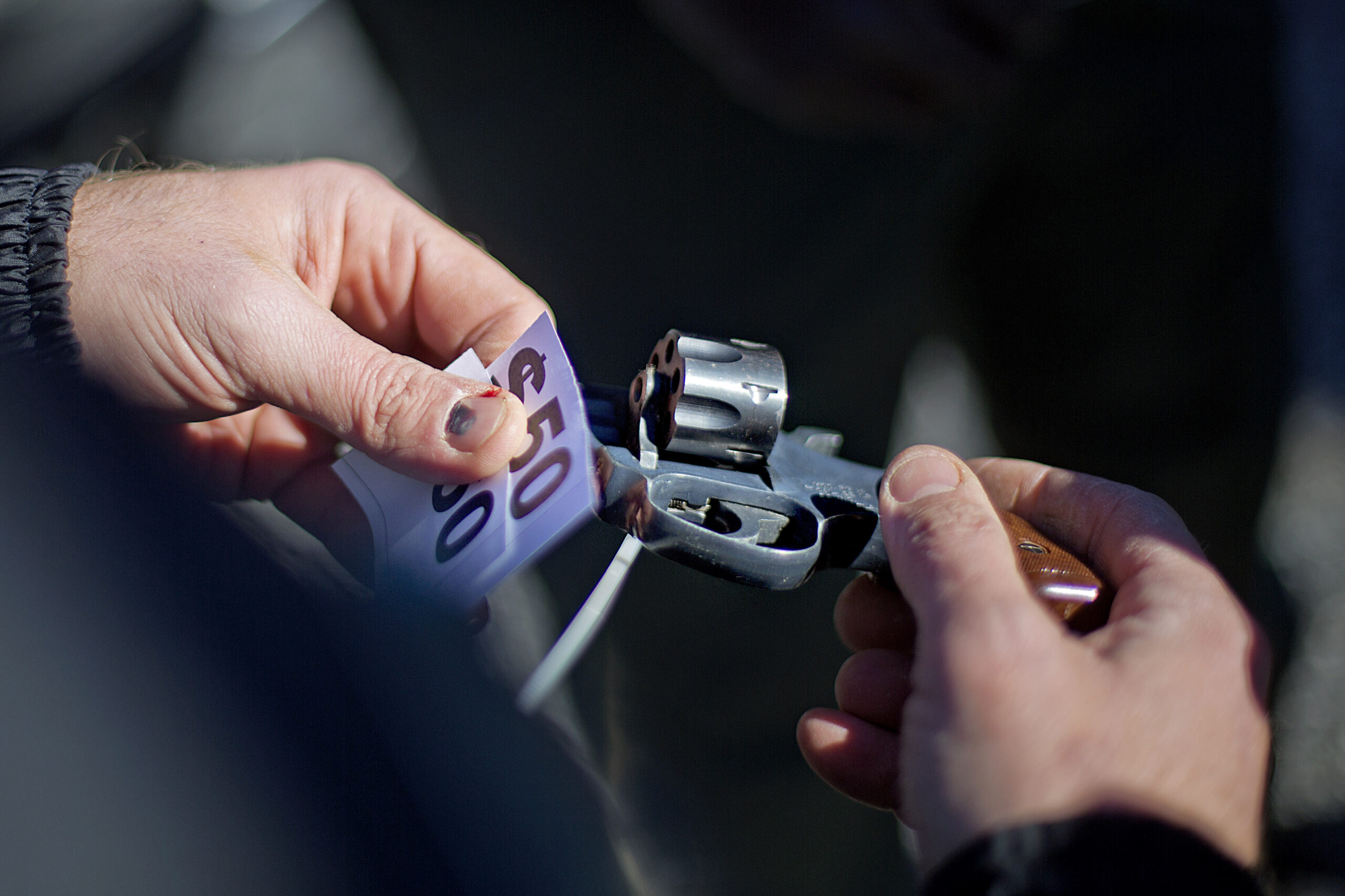 To reduce gun deaths and protect the Second Amendment, pass Donna’s Law