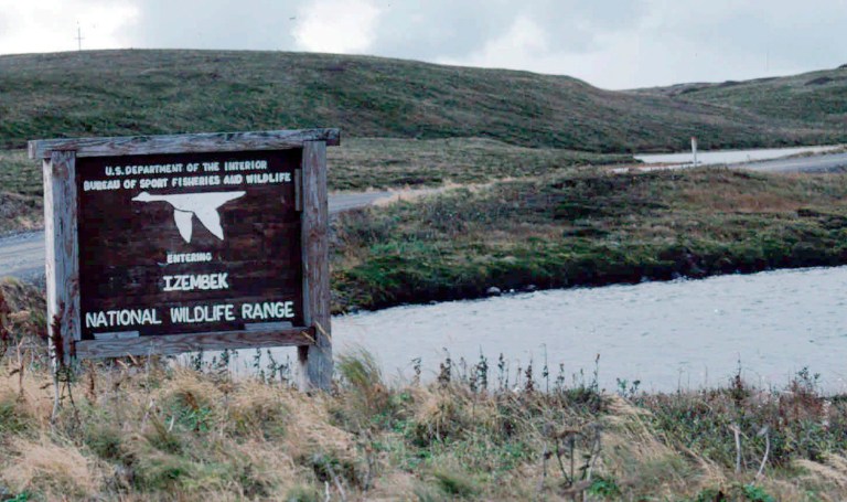 Interior Department denies road through Alaska wildlife refuge