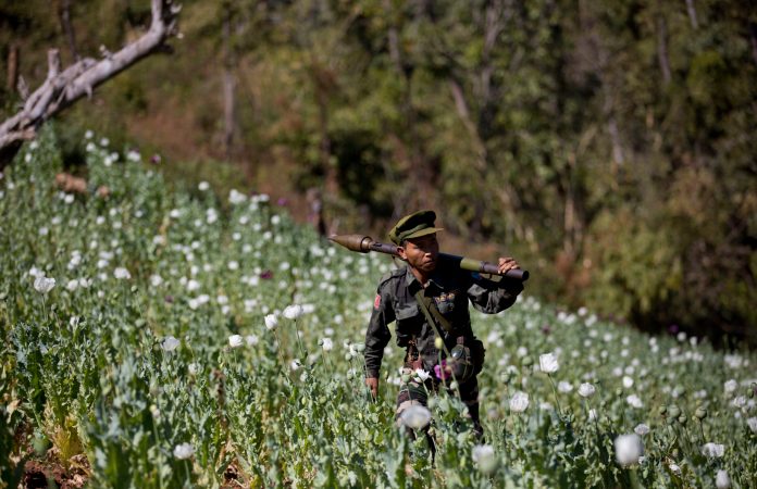 Myanmar rebels, villagers destroy poppy crops