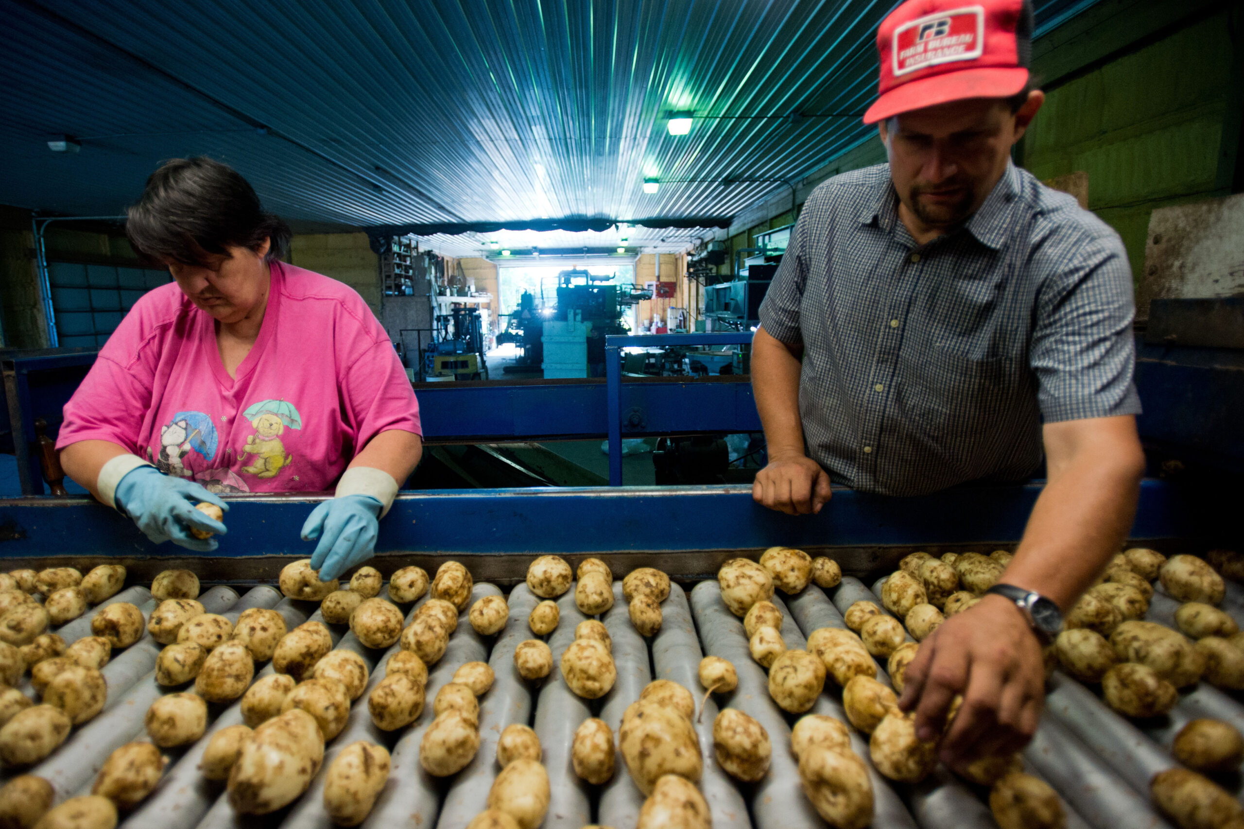 US producer prices rise just 0.1 percent in July