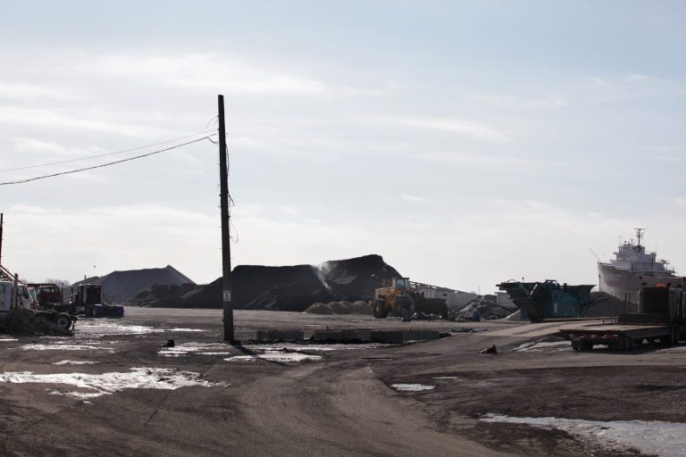 Congress members seek US probe of petcoke safety