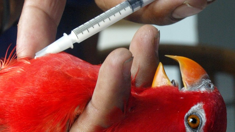 In the fight to slow antibiotic resistance, an ounce of prevention is worth a pound of cure