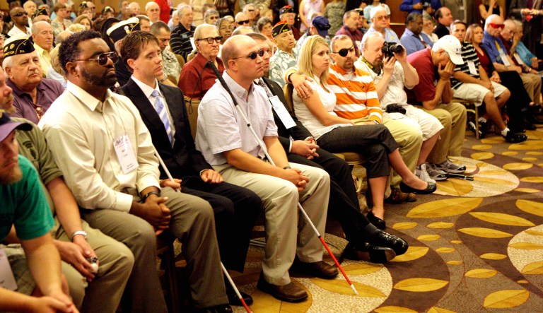 Honor blind veterans by advancing vision-restoring treatments