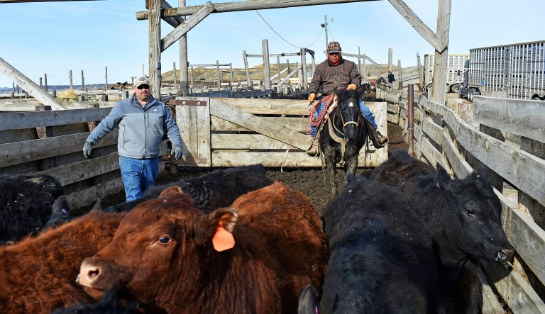 Farmers and ranchers caught in the middle of Trump’s trade wars