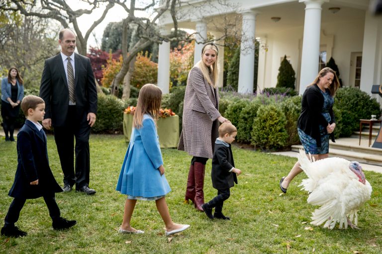 Shock: PETA urges, ‘Be More Like Trump’