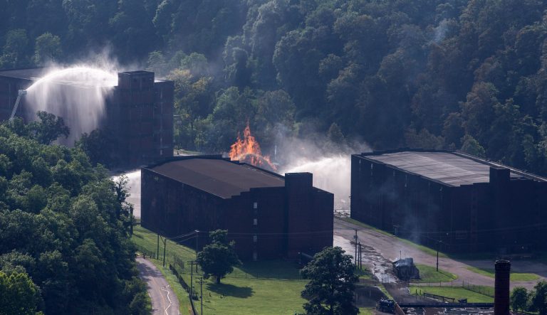 Thousands of fish die in bourbon-infused water following Jim Beam fire