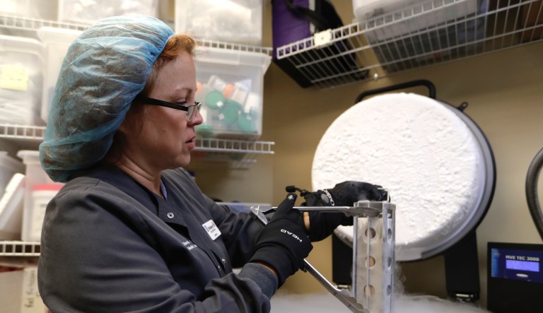 Arizona Supreme Court rules woman cannot use frozen embryos following divorce