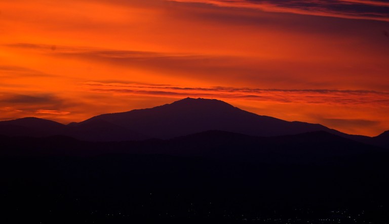 How environmental groups fuel forest fires