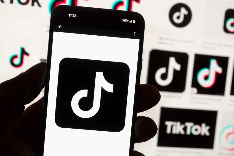TikTok data trackers installed on state government websites, review finds