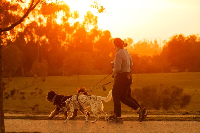 Power use projected to decline in 2023 because of mild weather and weaker economy