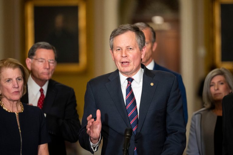 The road to the majority runs through Trump, Senate GOP campaign chairman says